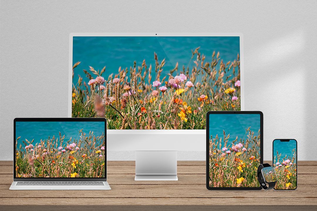 Cornish Spring Flowers Wallpaper