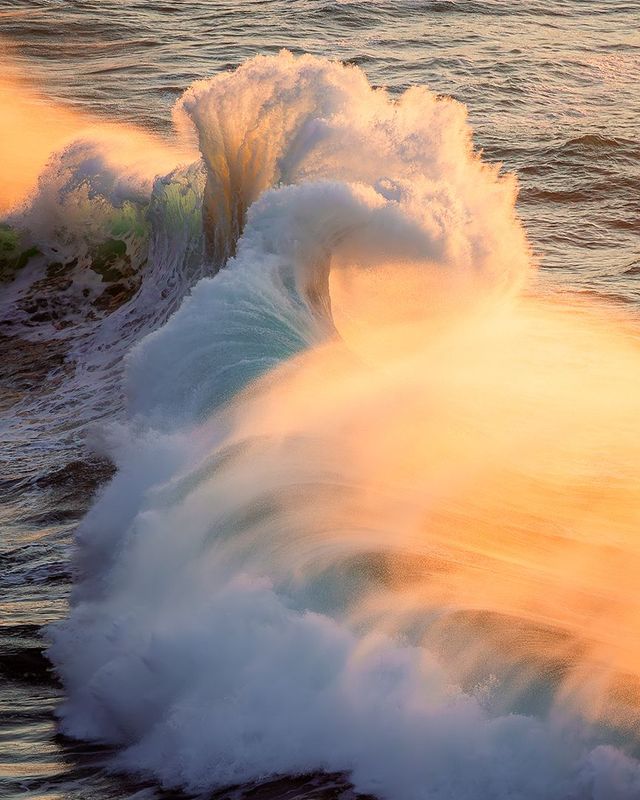 Large wave breaks in sunset light