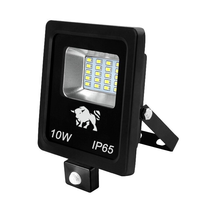 LED Fluter 10 Watt Bewegungsmelder
