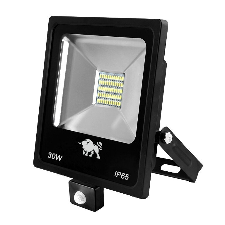 LED Fluter 30 Watt Bewegungsmelder
