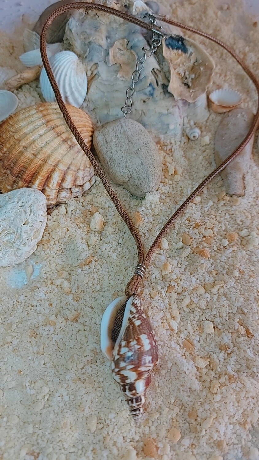 CARACOLA GRANDE BROWN