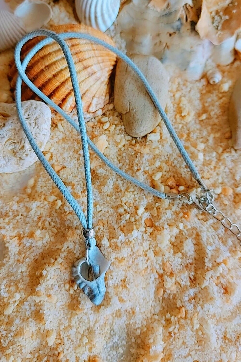 CONCHA MARINA CON FORMA GRIS