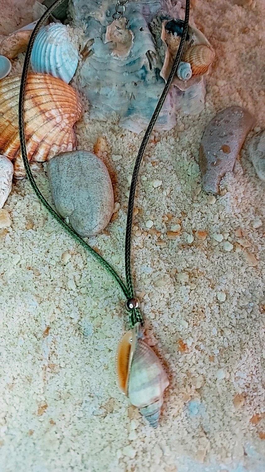 CARACOLA MEDIANA OLIVA &amp; CAMEL