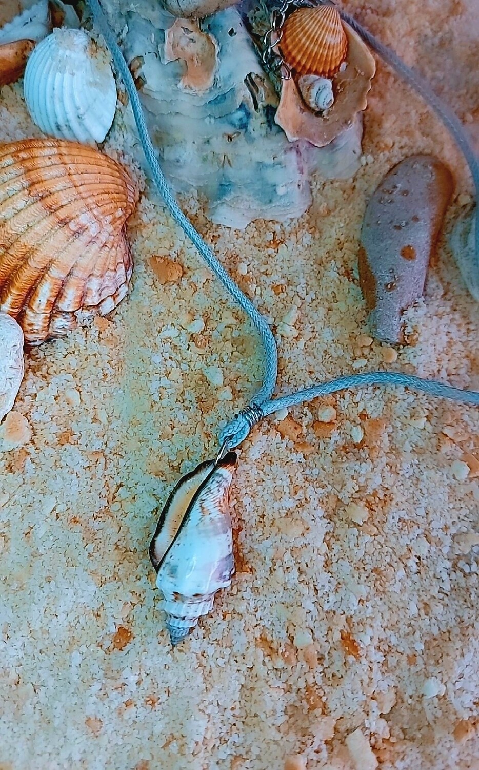 CARACOLA MEDIANA GRIS