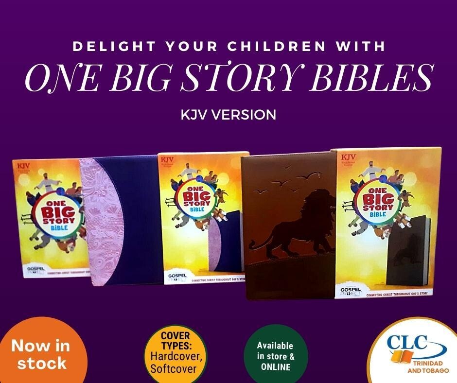 KJV One Big Story Bible, LeatherTouch: Connecting Christ Throughout God’s Story