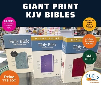 Tyndale Giant Print KJV Personal Size Holy Bible with Filament App