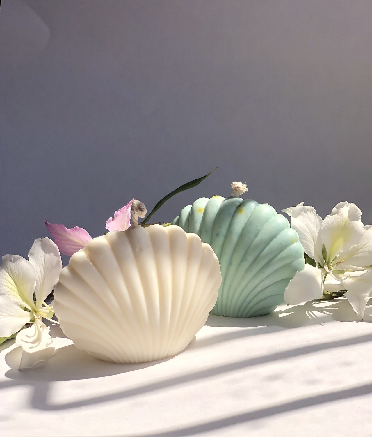Shell candle