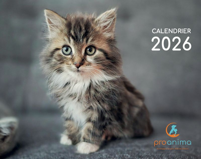 Calendrier Proanima 2026 Calendrier Proanima 2026