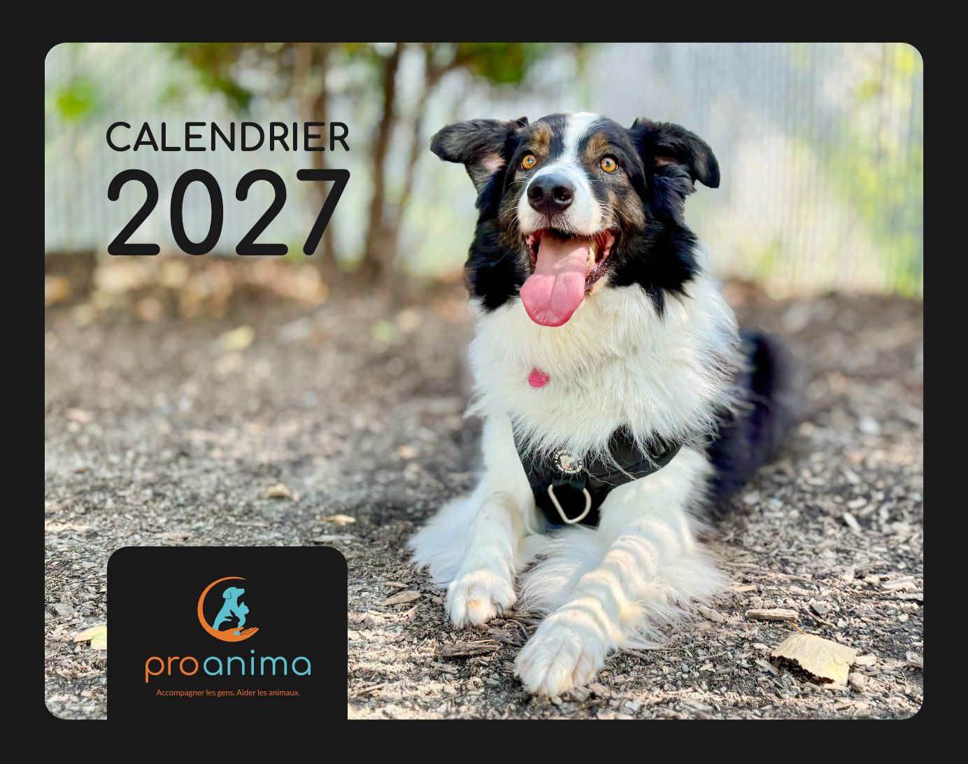 Calendrier Proanima 2027