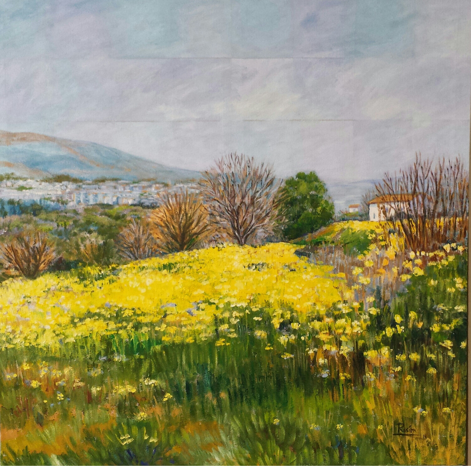 Primavera en Granada