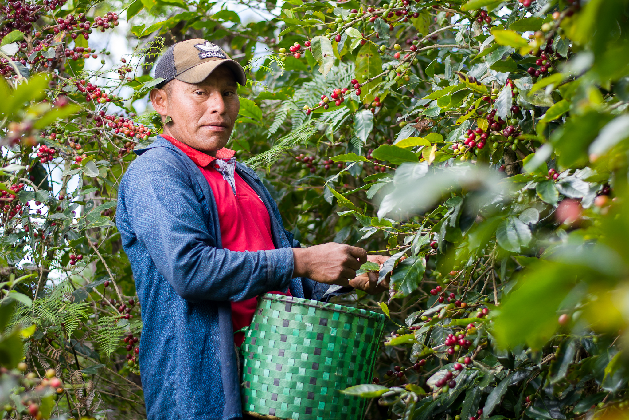 Honduras - La Esmeralda