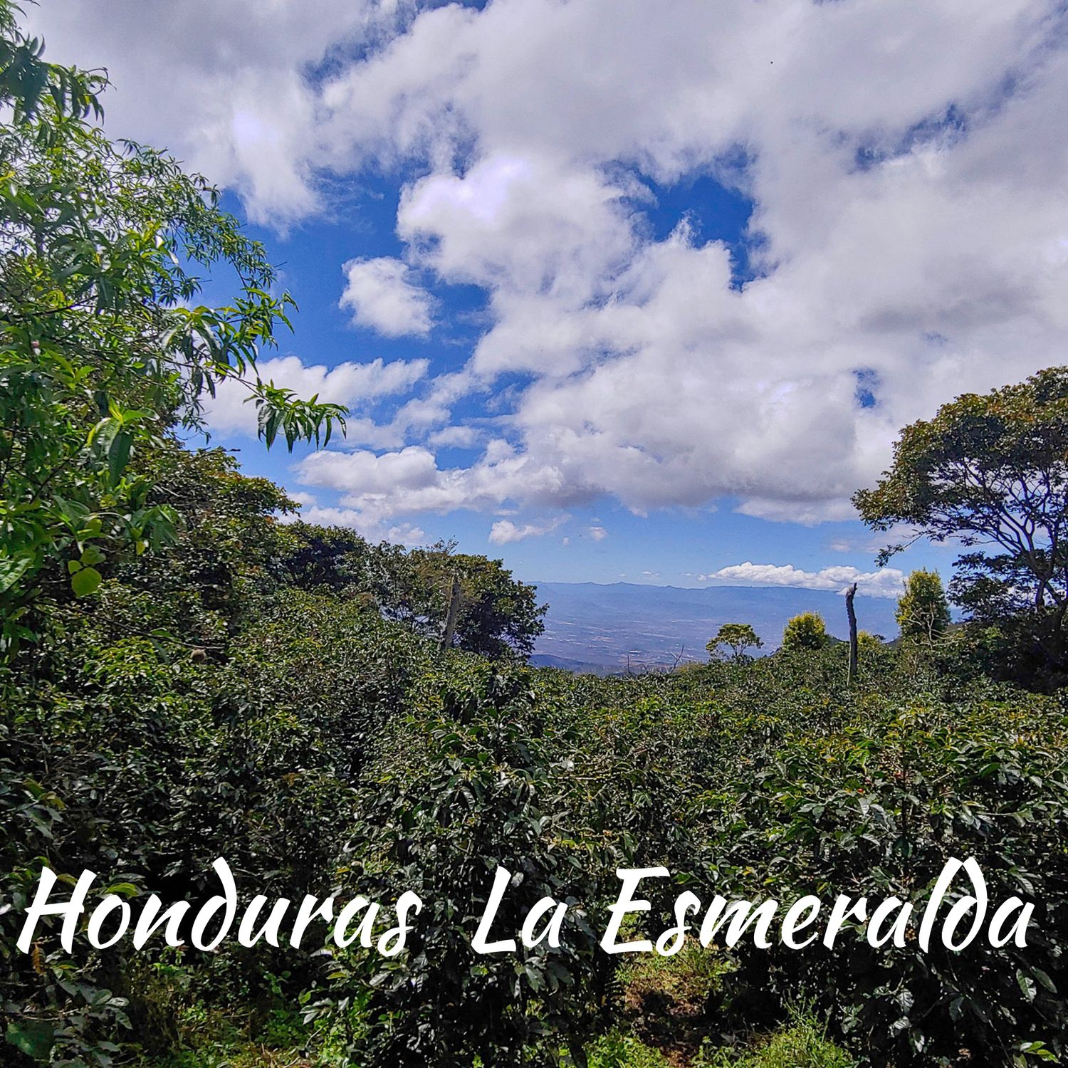 Honduras - La Esmeralda