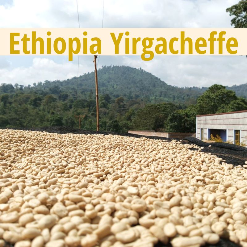 Ethiopia - Yirgacheffe