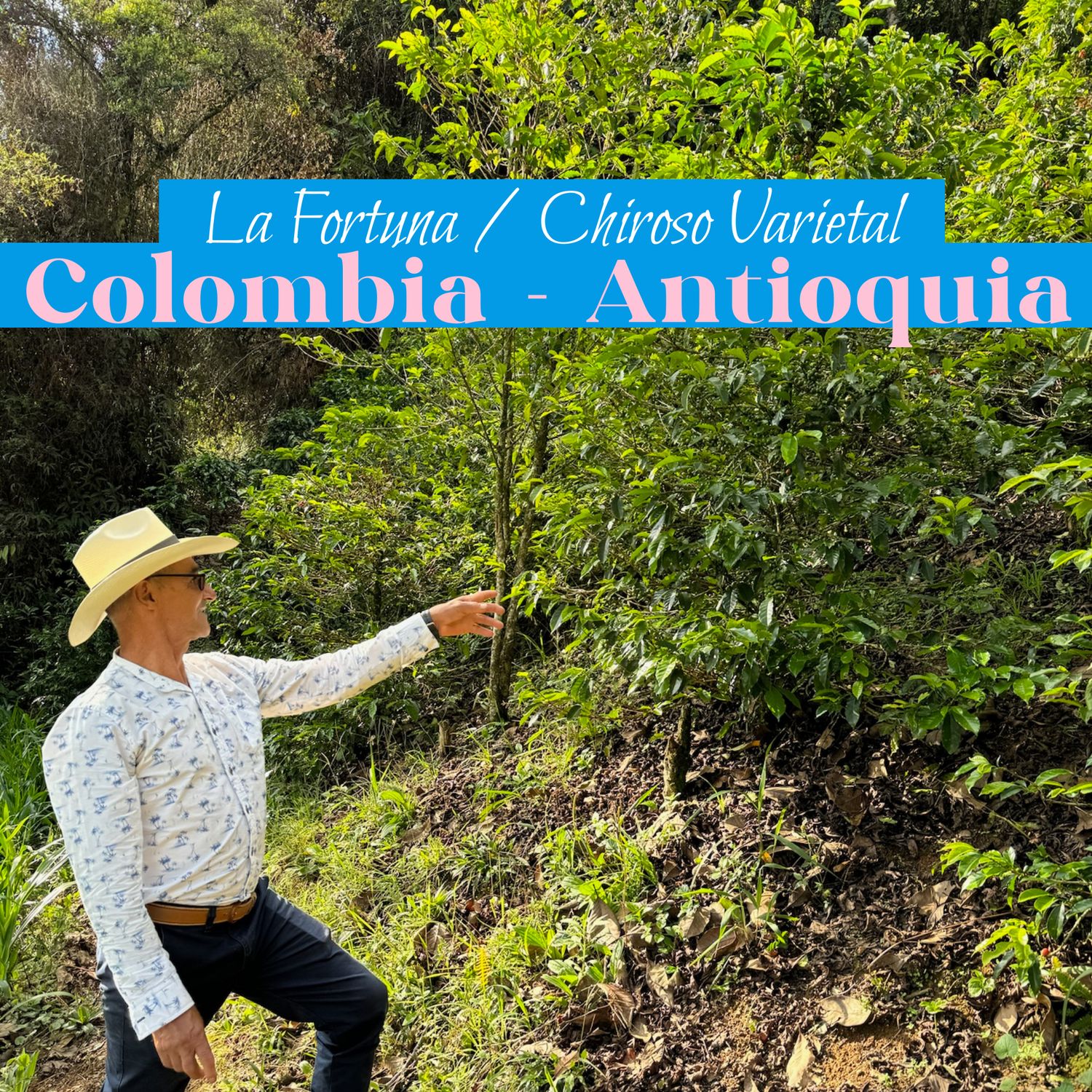 Colombia - Antioquia
