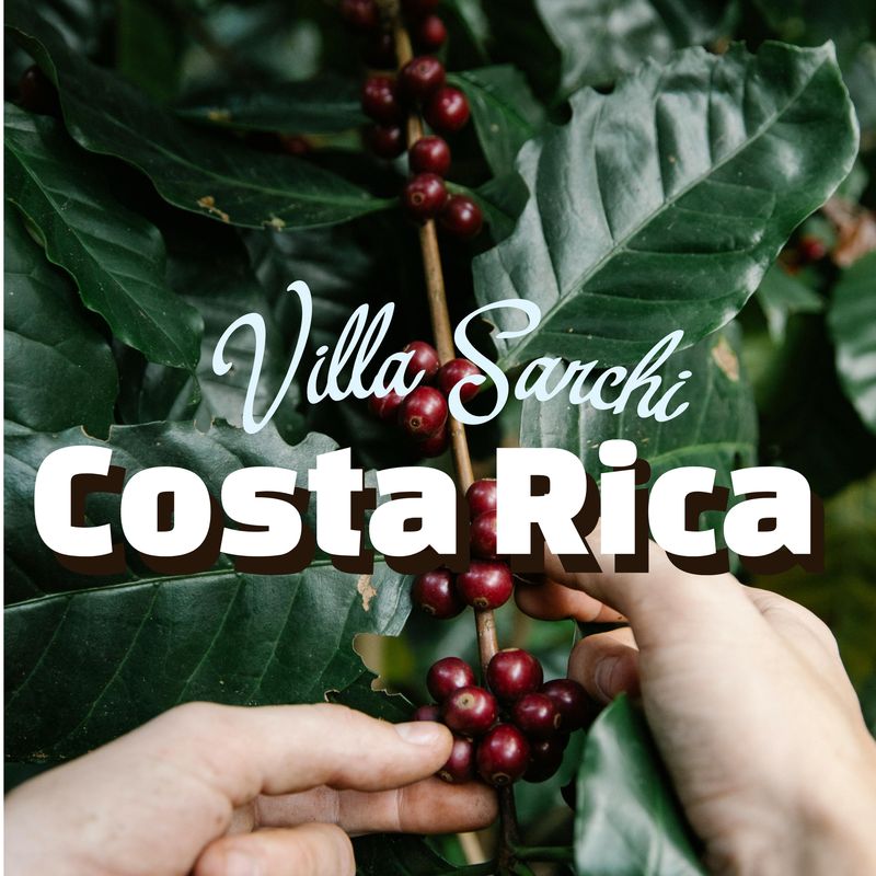 Costa Rica - Villa Sarchi