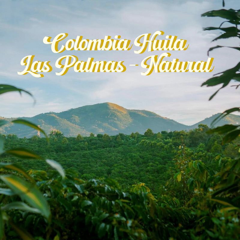 Colombia - La Palmas