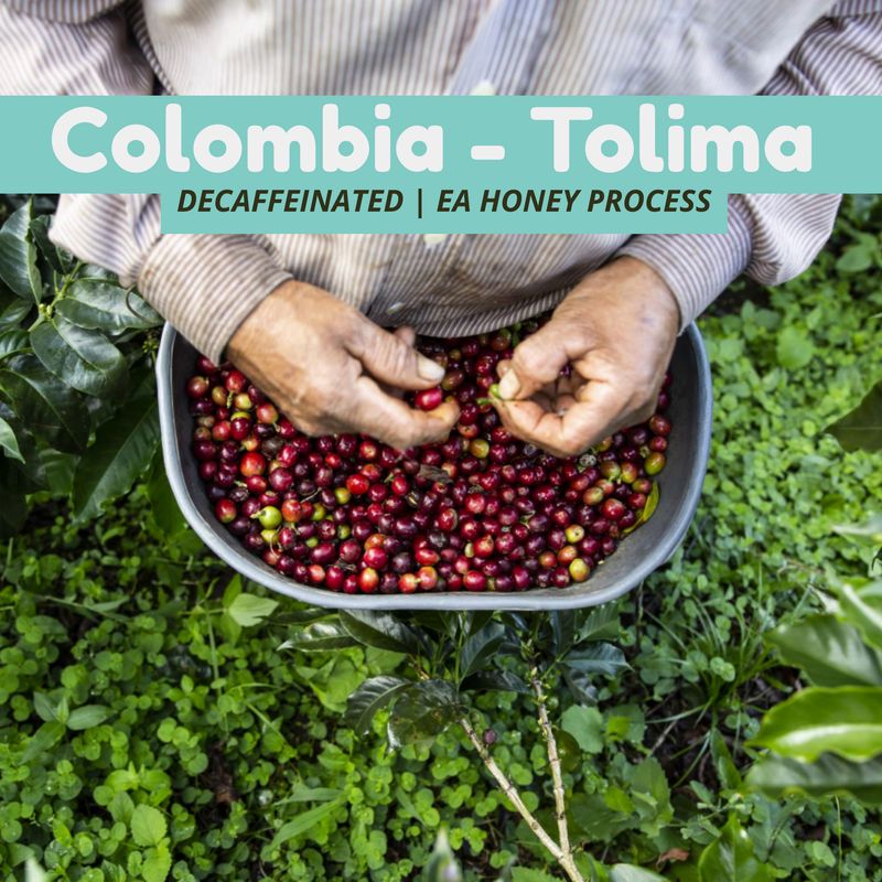 Colombia - Tolima