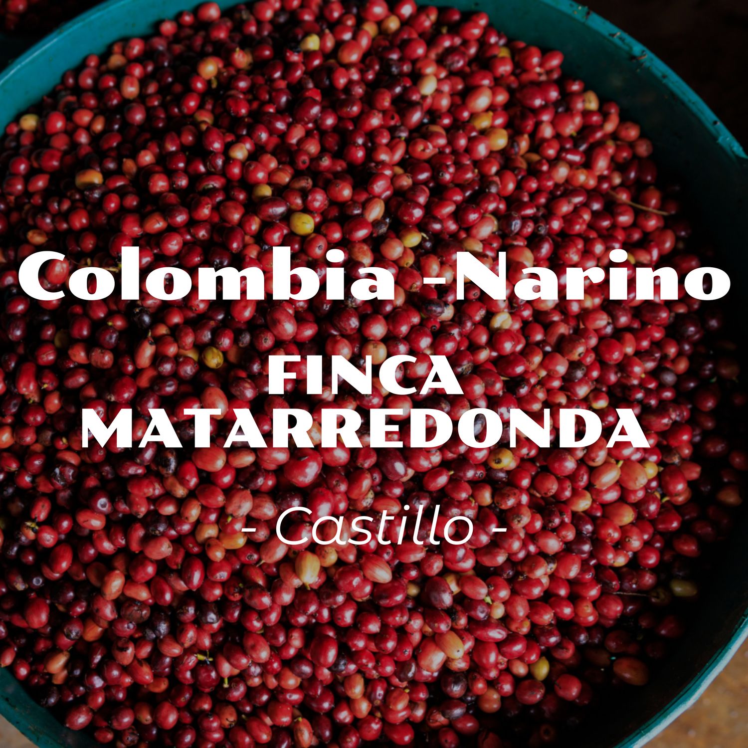 Colombia - Narino | Castillo
