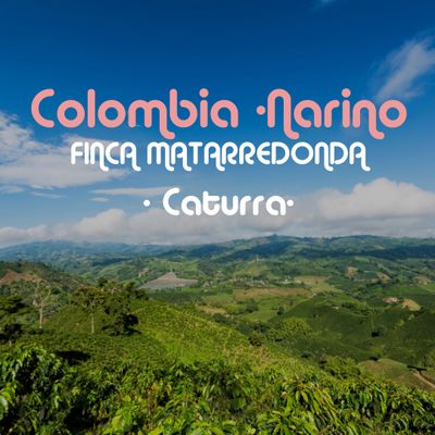 Colombia - Narino | Caturra Colombia - Narino | Caturra