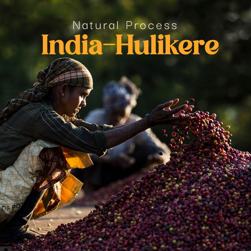 India - Hulikere Natural