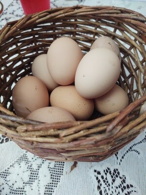 Dozen Eggs