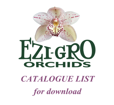 All Cattleyas List 2023