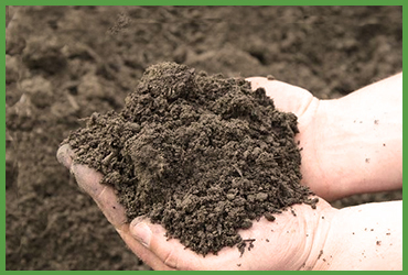 1/2&quot; Screened Loam (by Cubic Yard)