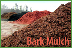 Bark Mulch