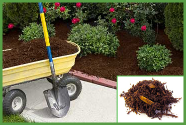 Brown Pine Mulch (by Cubic Yard)