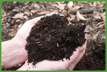 1/2" Leaf Compost (by Cubic Yard)