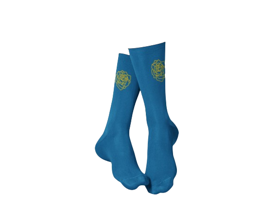 Conquered Ground Sock