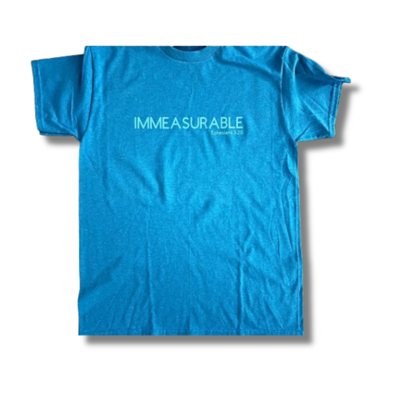 Immeasurable T-shirt