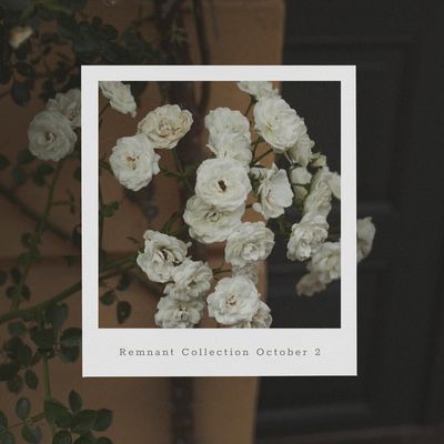 Remnant Collection