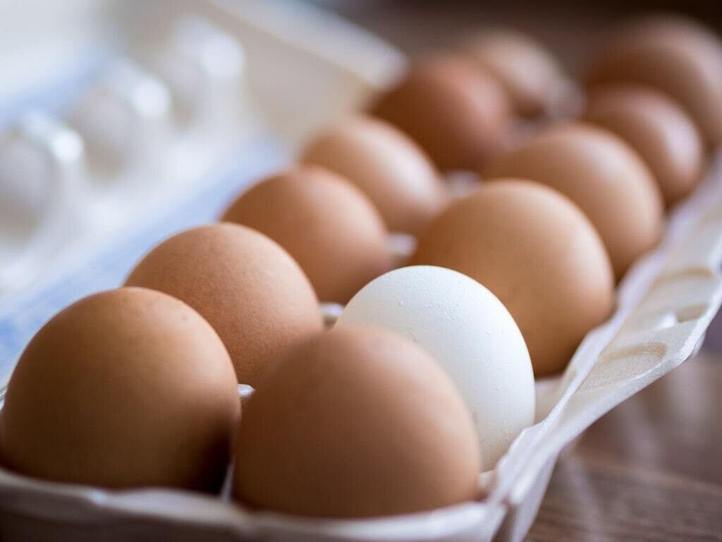 EggShare