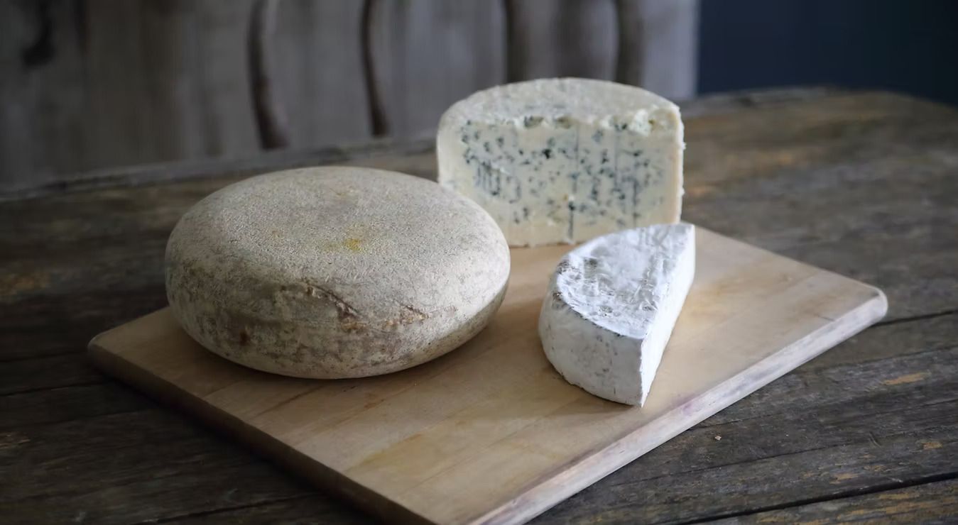 CheeseShare