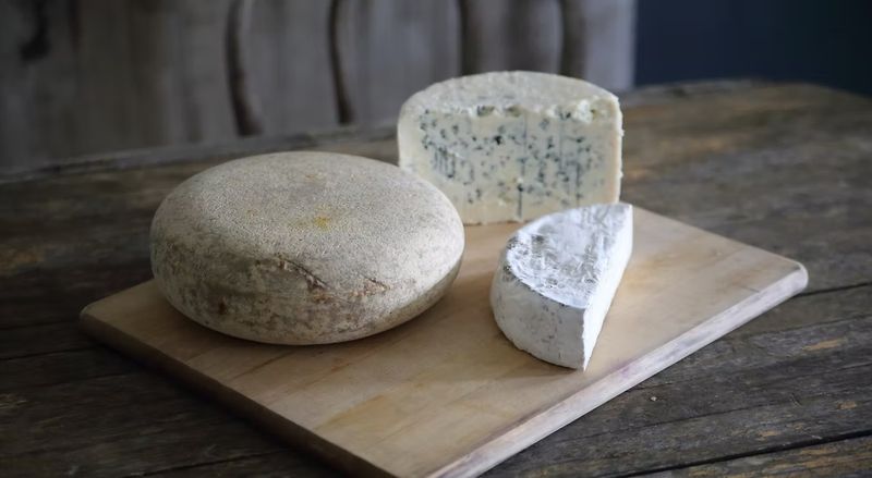 CheeseShare CheeseShare