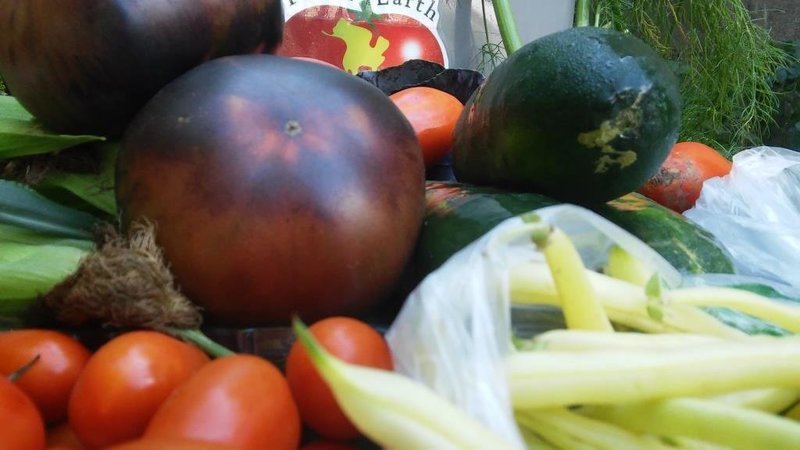 CoupleShare - Delivered