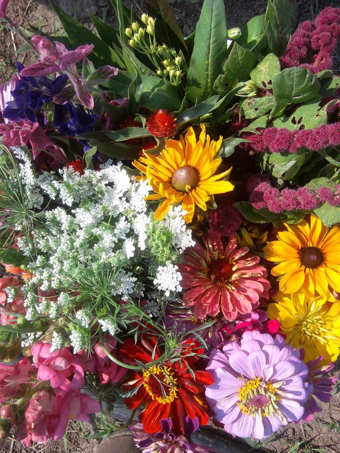 FlowerShare