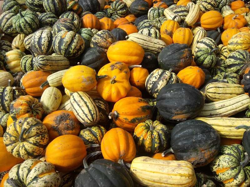 WinterShare WinterShare