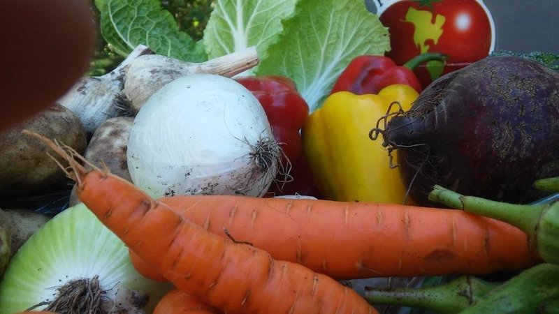 FamilyShare - Delivered FamilyShare - Delivered