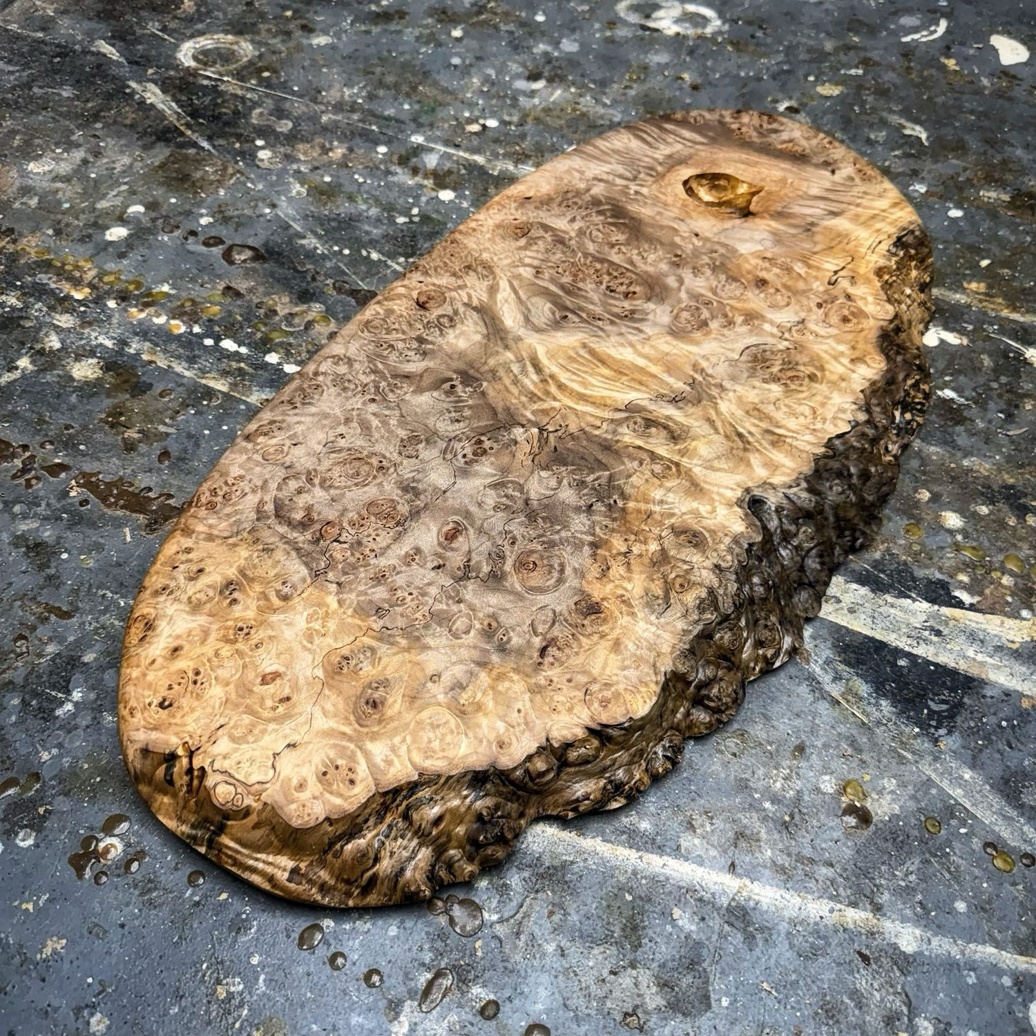 No. 221 | Maple Burl | 12x24&quot;