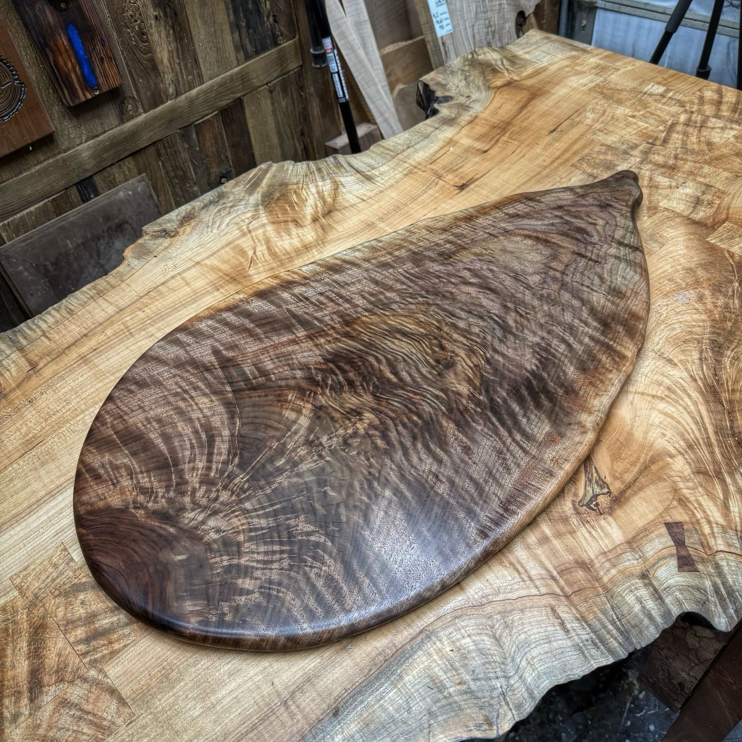 No. 217 | Curly Walnut | 18x33&quot;