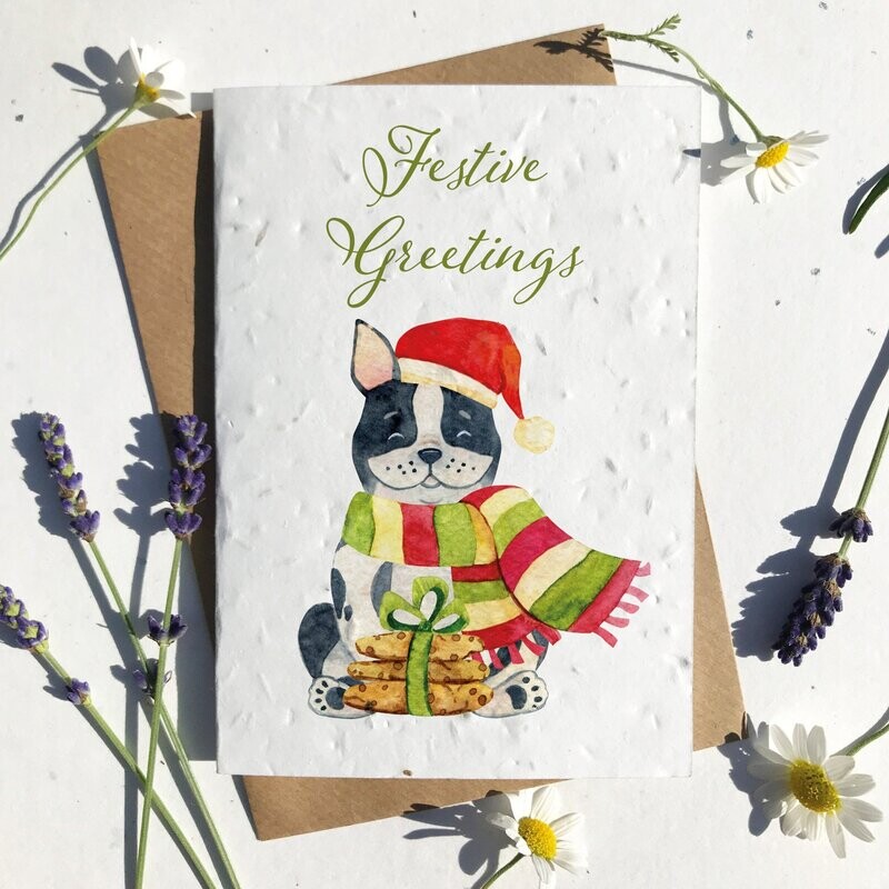 Festive French Bulldog