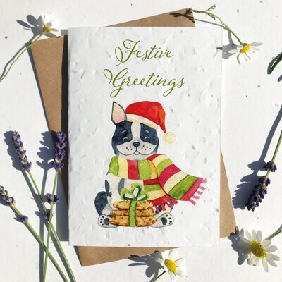 Festive French Bulldog