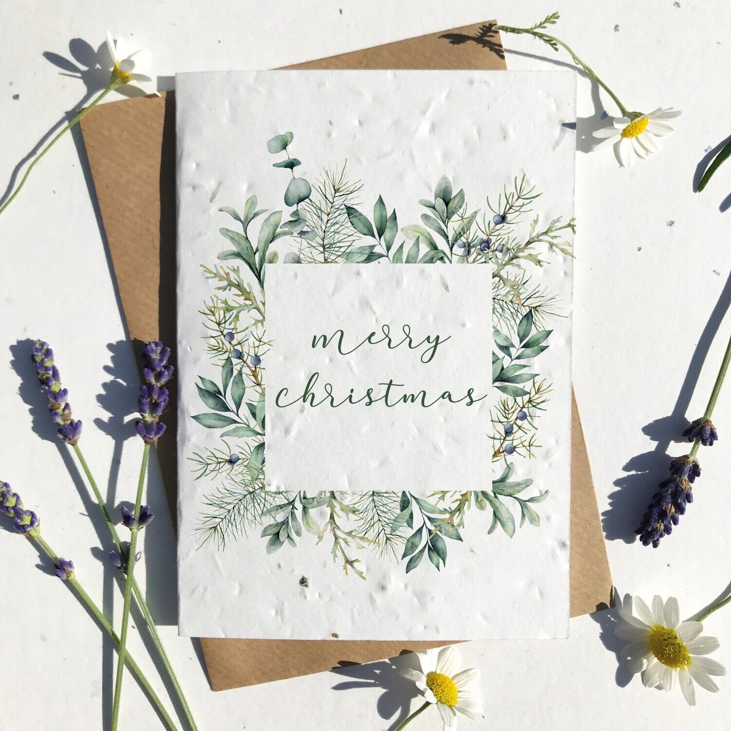 Eucalyptus frame