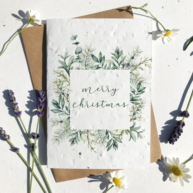 Eucalyptus frame