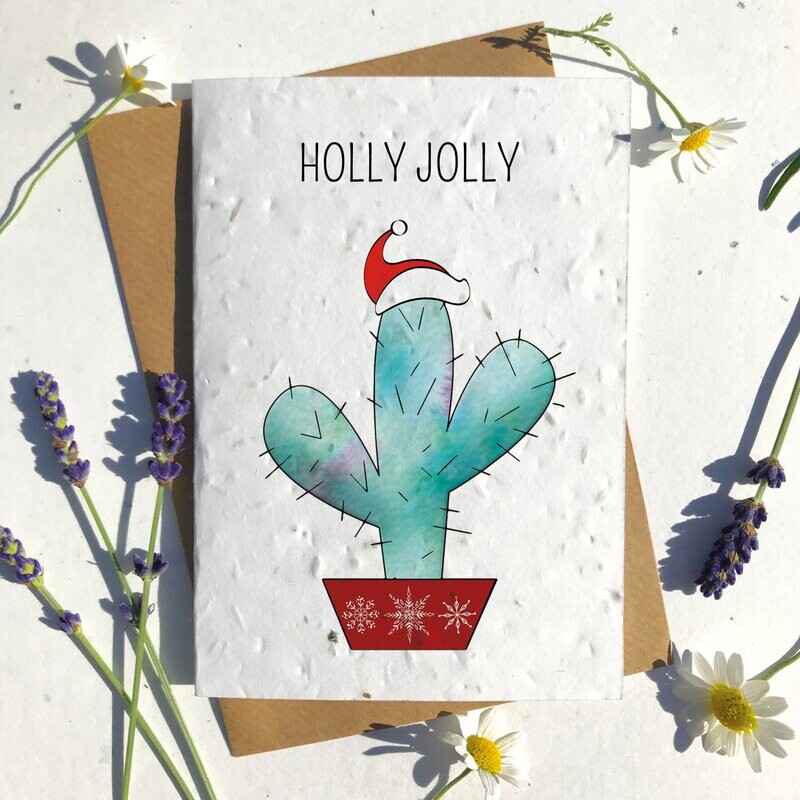 Holly Jolly cactus