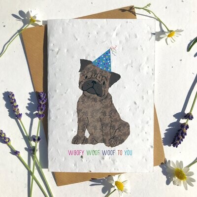 Cute Brown Pug Cute Brown Pug