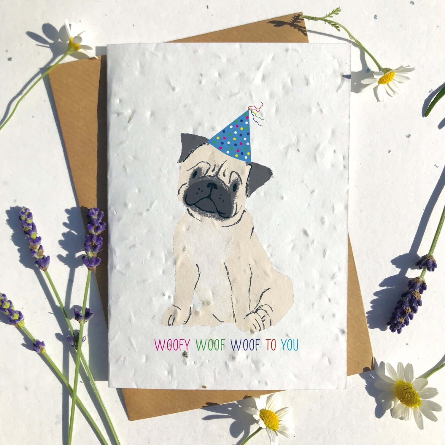 Cute Tan Pug
