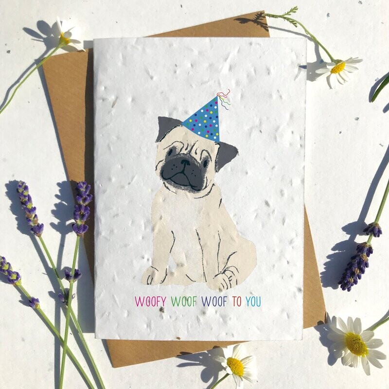 Cute Tan Pug